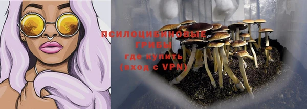 соль ск Семилуки