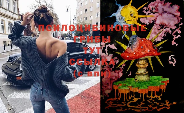 соль ск Семилуки