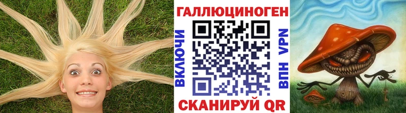 Купить закладки  Лаишево  Галлюциногенные грибы Cubensis 